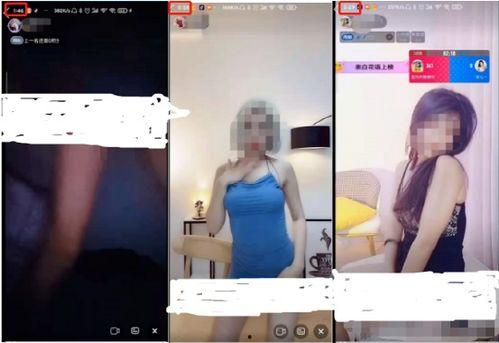 印尼巴士模拟器国产车辆模组 