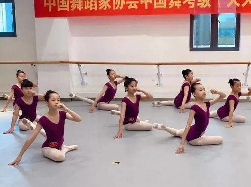 智学网校学生端下载 