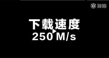 旋风视频在线观看 